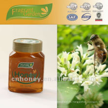 Miel de miel de tilo pura miel cruda natural OEM
